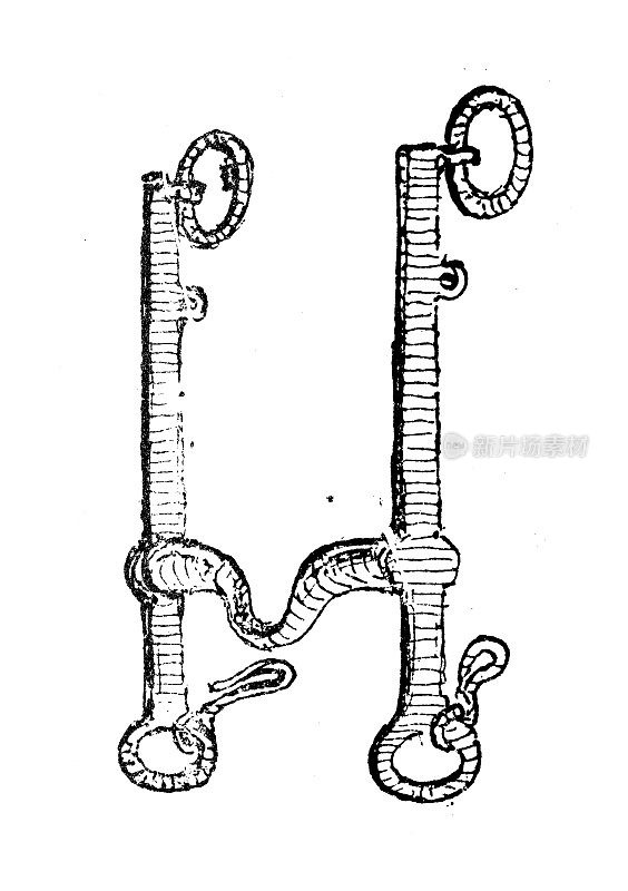 古董插图:bit, snaffle